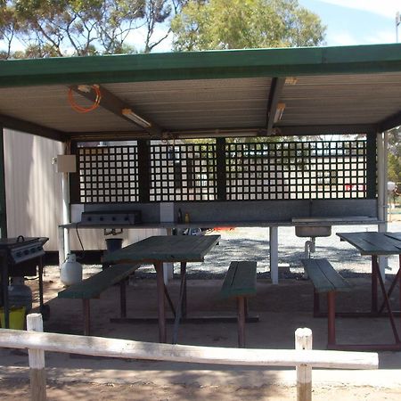 Acclaim Gateway Caravan Park Dundas Luaran gambar